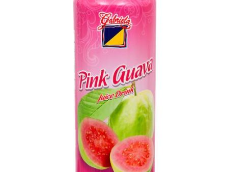 WHOLESALE GABRIELA PINK GUAVA 16.9 OZ SOLD BY CASE Fashion