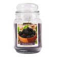 WHOLESALE BLACKBERRY CEDAR CANDLE 18 OZ SOLD BY CASE Fashion