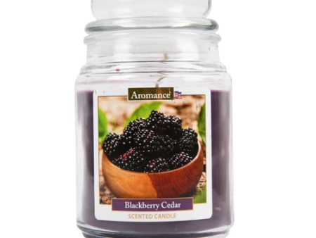 WHOLESALE BLACKBERRY CEDAR CANDLE 18 OZ SOLD BY CASE Fashion