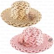 WHOLESALE SUMMER HAT W MESH FLOWER ASST COLOR SOLD BY CASE Discount