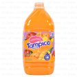 WHOLESALE TAMPICO MANGO GALLON SOLD BY CASE Online Sale