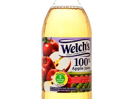 WHOLESALE WELCH S 100% 16 OZ APPLE JUICE SOLD BY CASE For Discount