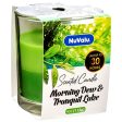 WHOLESALE NUVALU CANDLE TUMBLER 4 OZ MORNING DEW & TRANGUIL LAKE SOLD BY CASE Discount