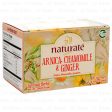 WHOLESALE NATURATE ARNICA, CHAMOMILE&GINGER TEA 20 CT SOLD BY CASE Discount