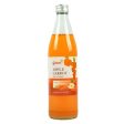 WHOLESALE GABRIELA CARROT & APPLE JUICE DRINK 485ML + CRV SOLD BY CASE Online