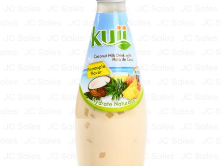 WHOLESALE KUII COCONUT MILK W  NATA DE COCO PINEAPPLE 290ML SOLD BY CASE For Sale