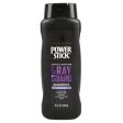 WHOLESALE POWER STICK MEN S SHAMPOO GRAY GAURD 15 OZ SOLD BY CASE For Discount