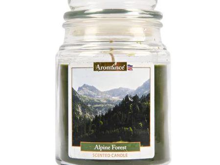 WHOLESALE ALPINE FOREST CANDLE 18 OZ SOLD BY CASE For Sale