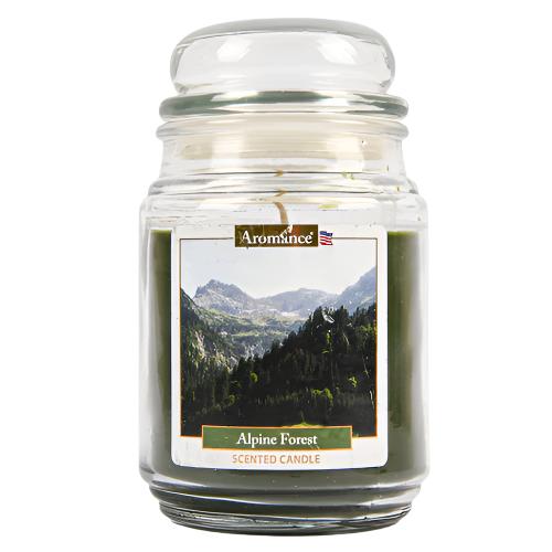 WHOLESALE ALPINE FOREST CANDLE 18 OZ SOLD BY CASE For Sale